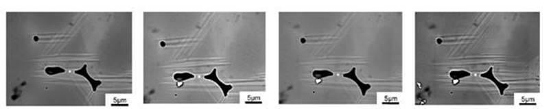 https://www.chemetal-journal.org/ejournal26/online_abstracts/CMA0388_online_abstract_files/image002.jpg