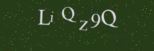 Validation image